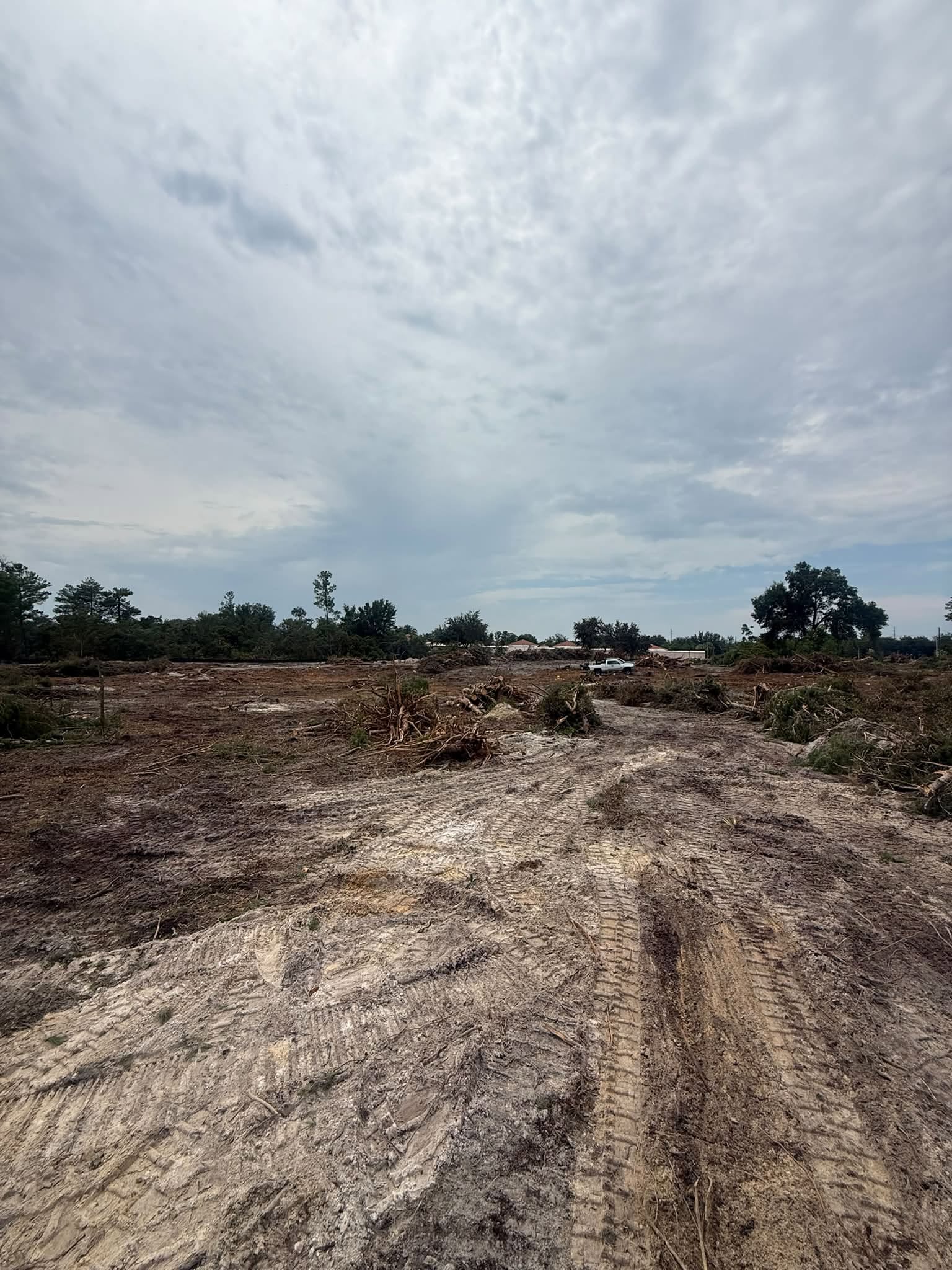 Heavy machinery clearing a large plot of land with trees.