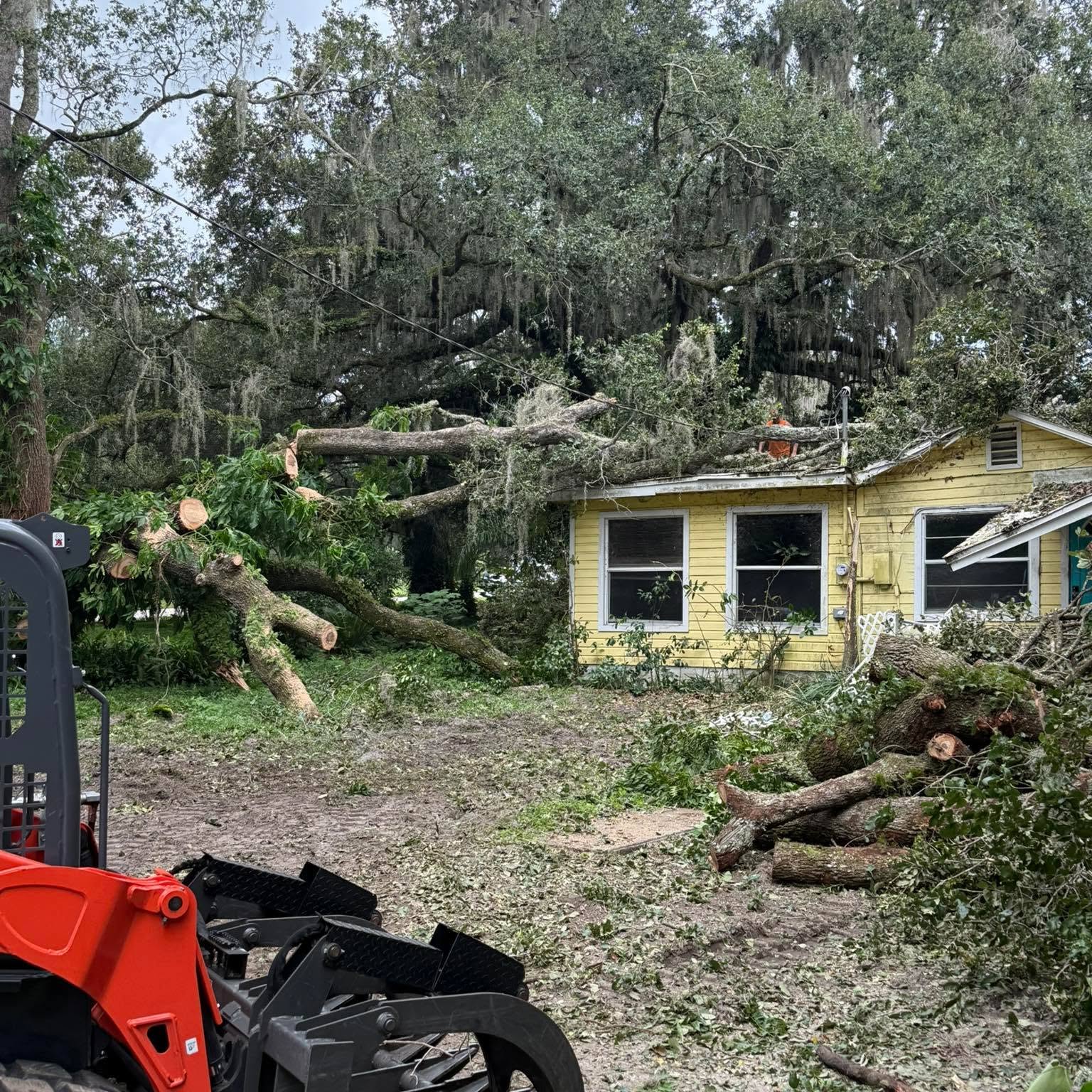 Fallen tree blocking street with emergency crew nearby
