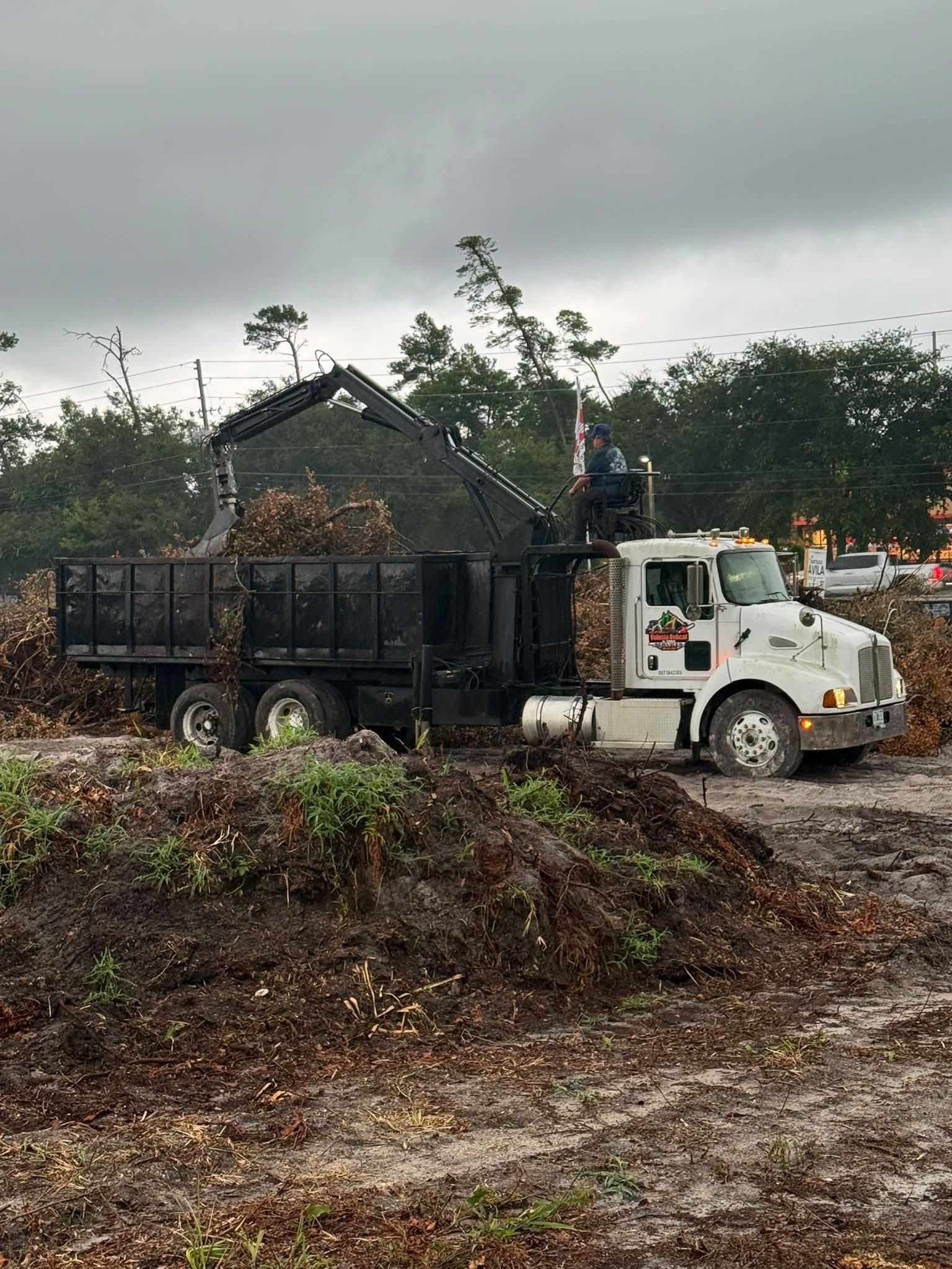Heavy machinery used for land clearing operations