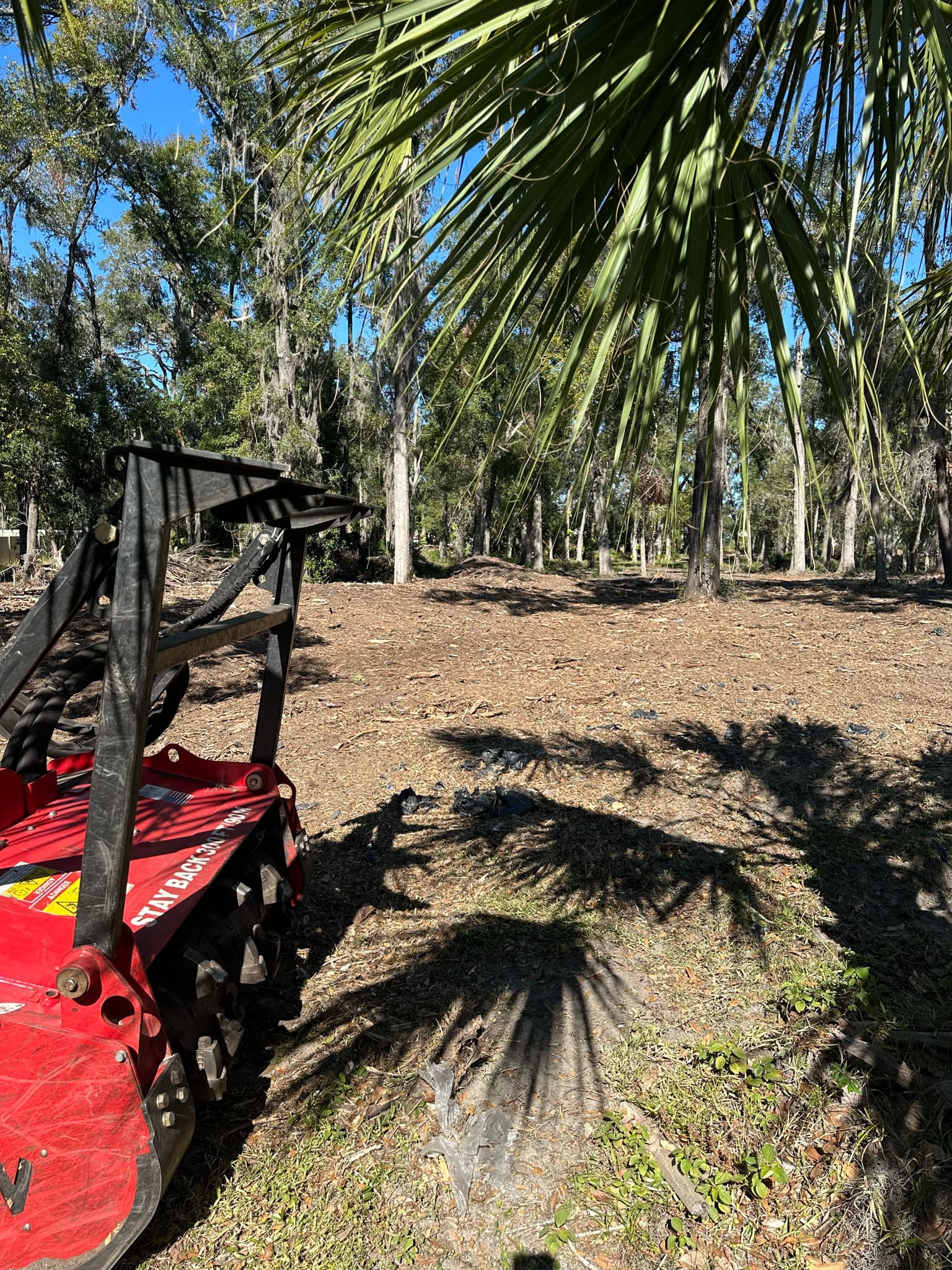 Dense green trees ideal for forestry mulching land management
