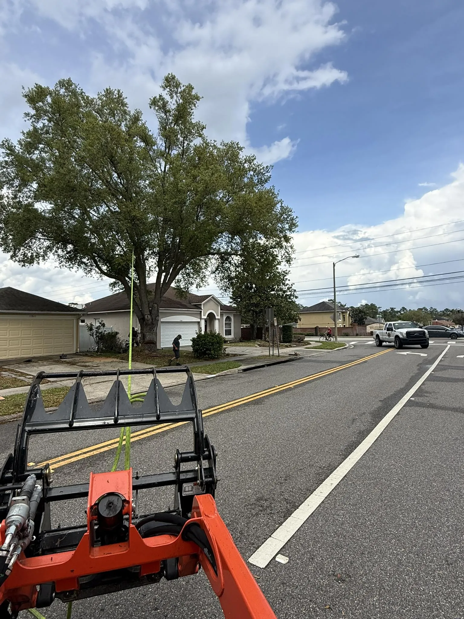 Orange heavy machinery and crew trimming large tree by a residential street