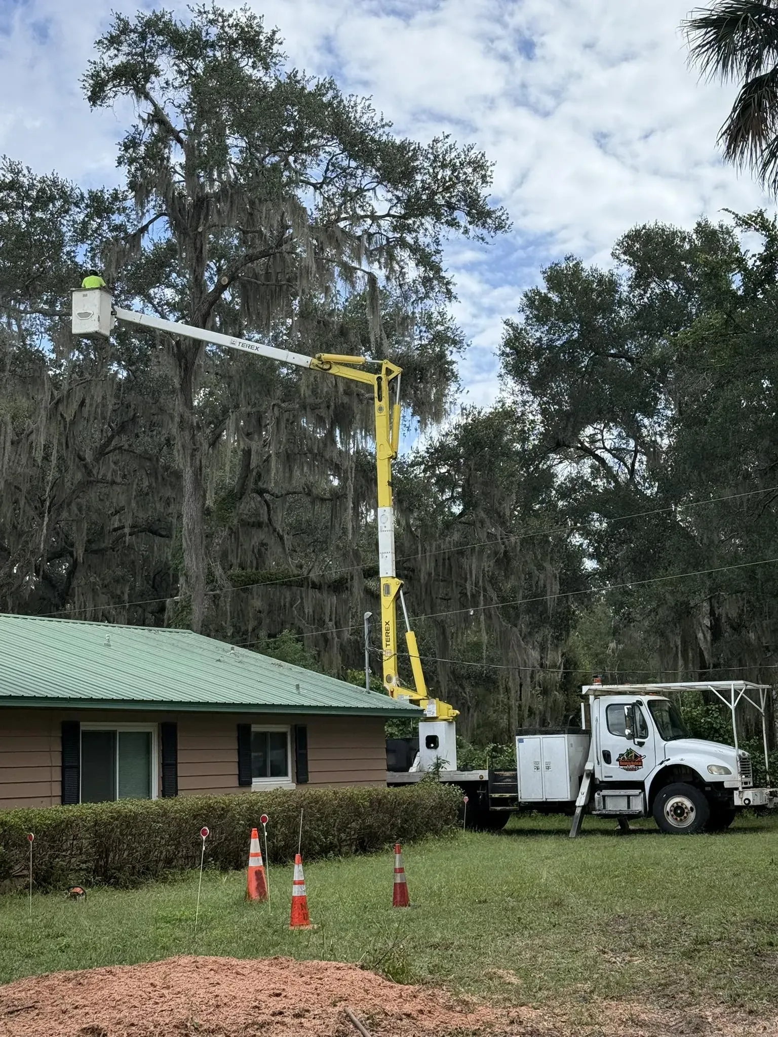 Tree service bucket truck trimming limbs near a house surrounded by trees.