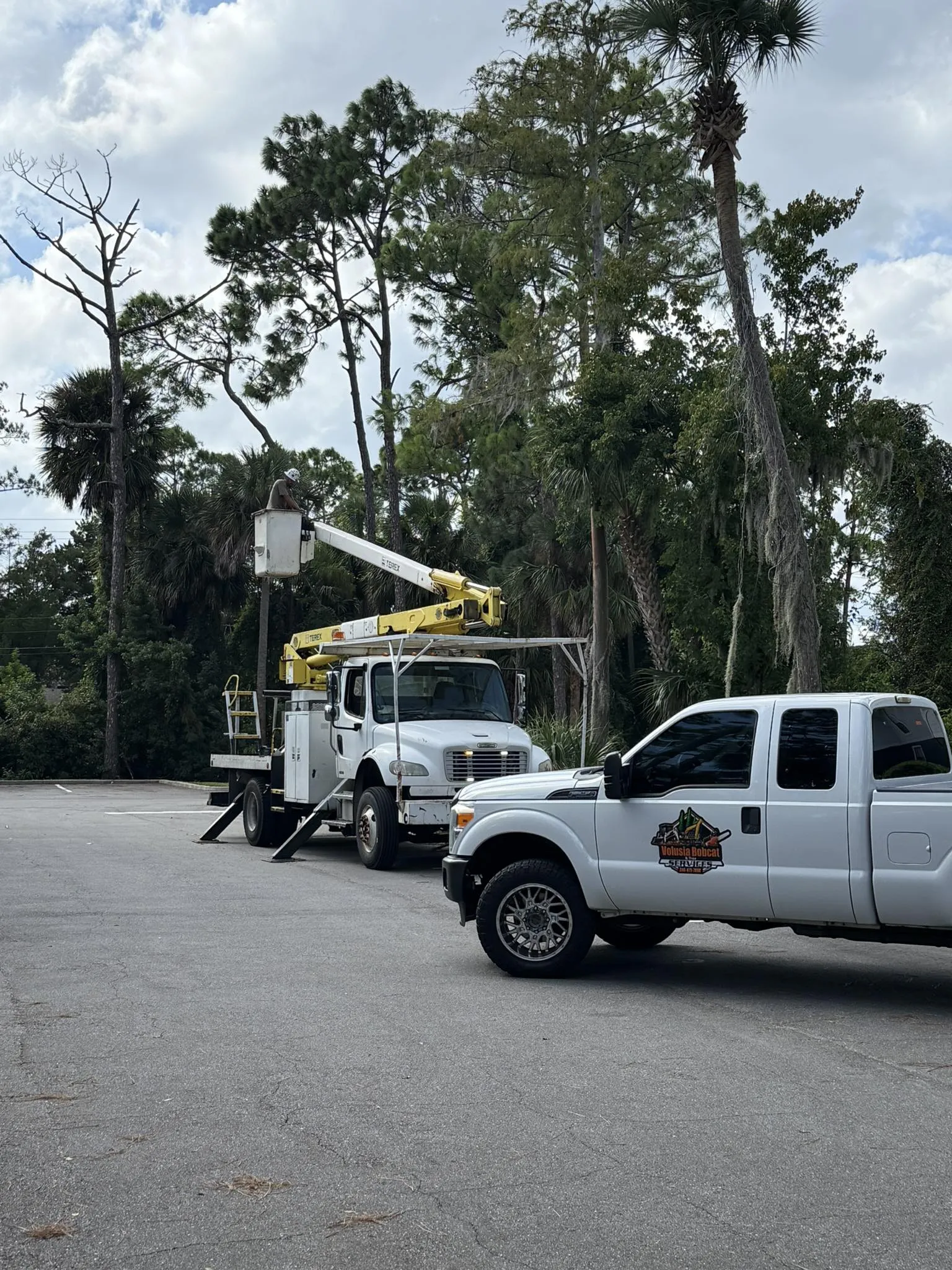White boom truck with worker in bucket ready for emergency tree service.