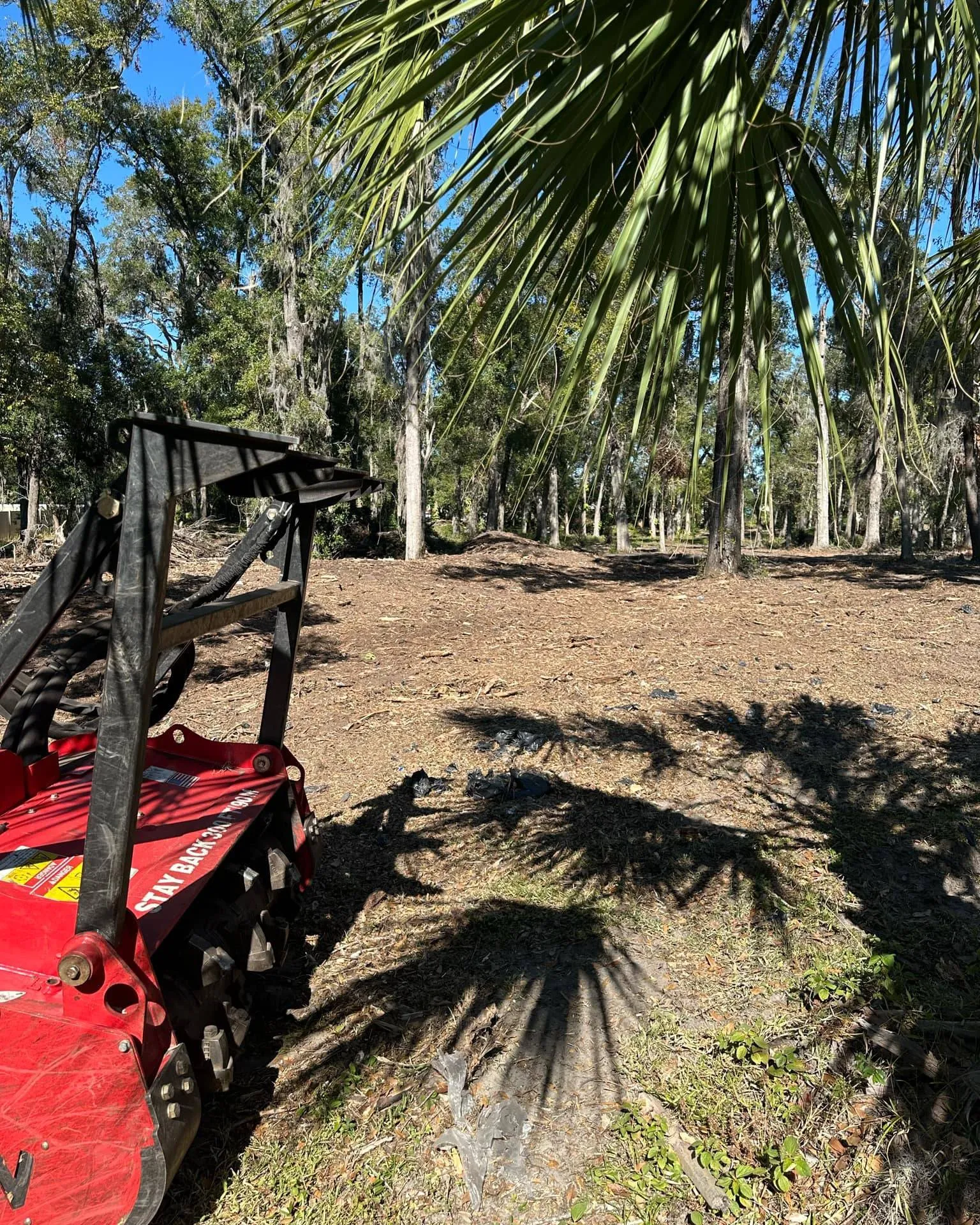 Forestry mulching crew clearing dense vegetation